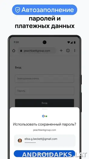 Google Chrome скриншот 6